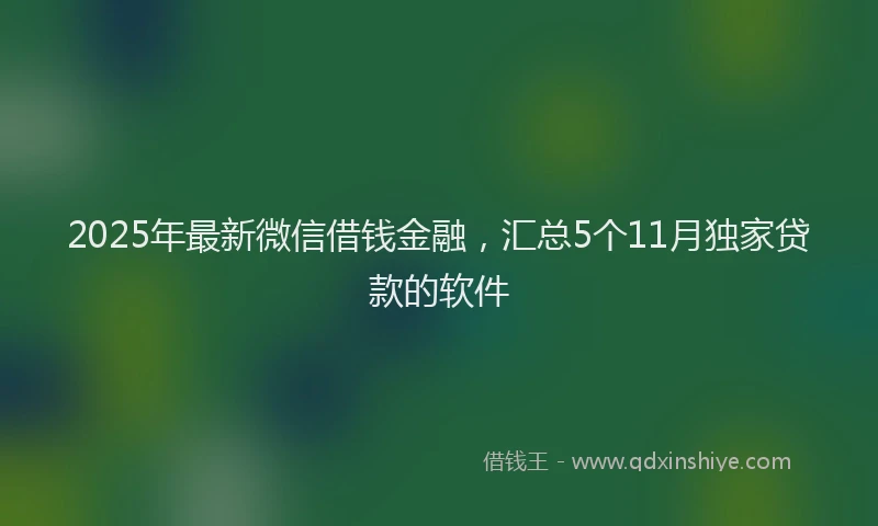 2025年最新微信借钱金融，汇总5个11月独家贷款的软件