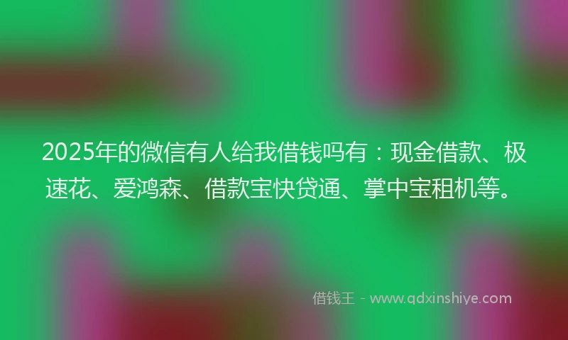 2025年的微信有人给我借钱吗有：现金借款、极速花、爱鸿森、借款宝快贷通、掌中宝租机等。