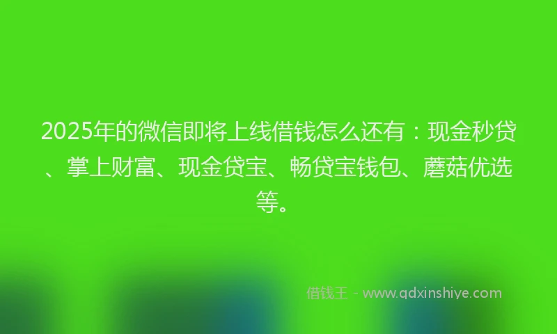 2025年的微信即将上线借钱怎么还有：现金秒贷、掌上财富、现金贷宝、畅贷宝钱包、蘑菇优选等。