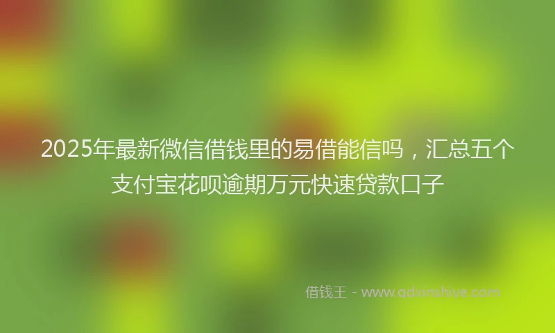 2025年最新微信借钱里的易借能信吗，汇总五个支付宝花呗逾期万元快速贷款口子