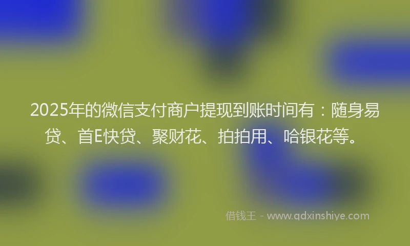 2025年的微信支付商户提现到账时间有：随身易贷、首E快贷、聚财花、拍拍用、哈银花等。