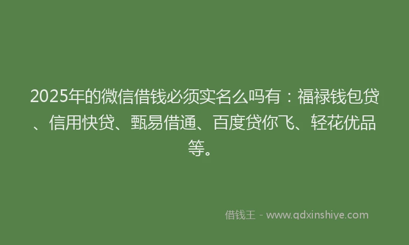 2025年的微信借钱必须实名么吗有：福禄钱包贷、信用快贷、甄易借通、百度贷你飞、轻花优品等。