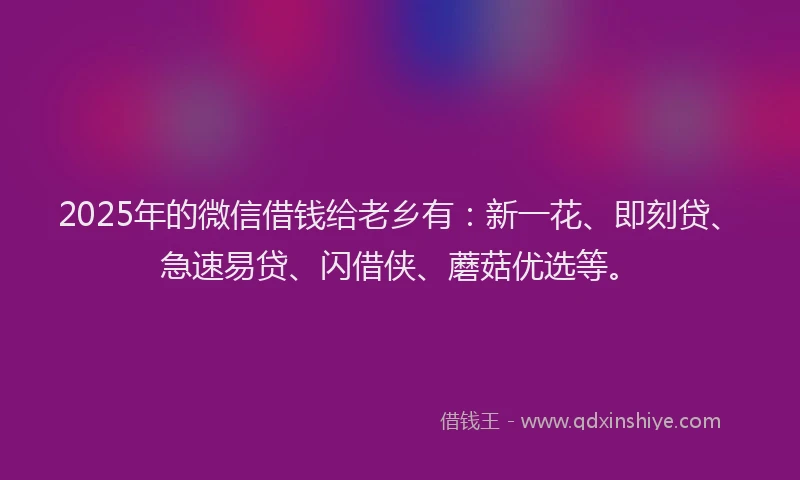 2025年的微信借钱给老乡有：新一花、即刻贷、急速易贷、闪借侠、蘑菇优选等。