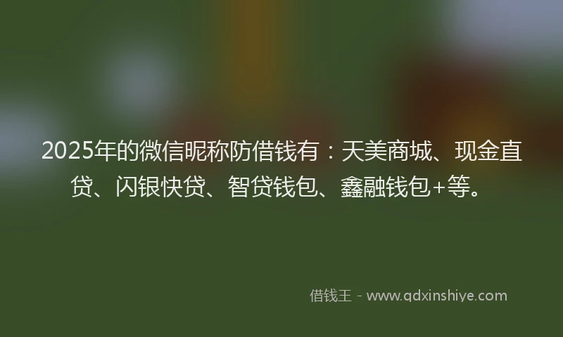 2025年的微信昵称防借钱有：天美商城、现金直贷、闪银快贷、智贷钱包、鑫融钱包+等。