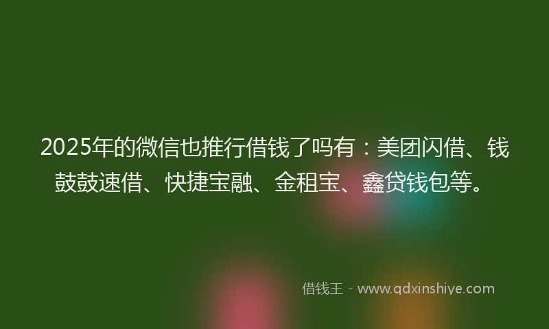 2025年的微信也推行借钱了吗有：美团闪借、钱鼓鼓速借、快捷宝融、金租宝、鑫贷钱包等。