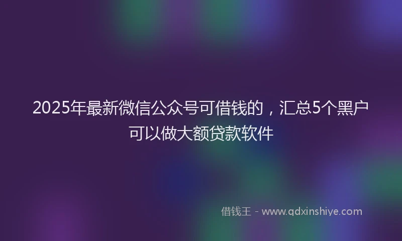 2025年最新微信公众号可借钱的，汇总5个黑户可以做大额贷款软件
