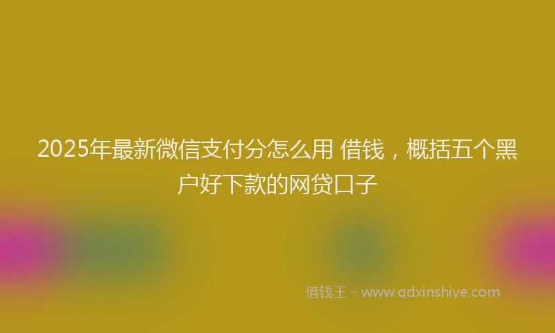 2025年最新微信支付分怎么用 借钱，概括五个黑户好下款的网贷口子
