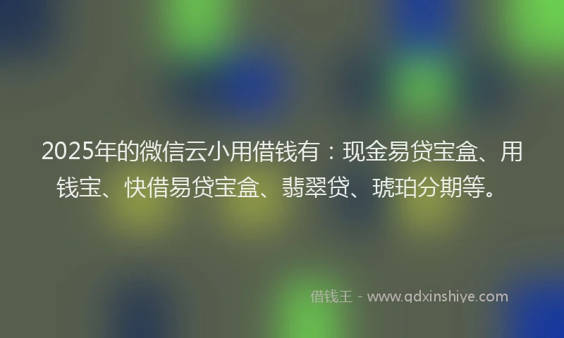2025年的微信云小用借钱有：现金易贷宝盒、用钱宝、快借易贷宝盒、翡翠贷、琥珀分期等。