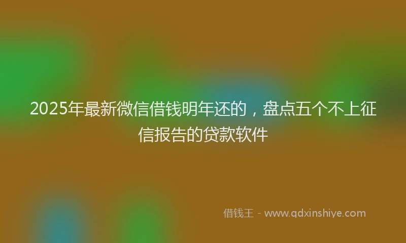 2025年最新微信借钱明年还的，盘点五个不上征信报告的贷款软件