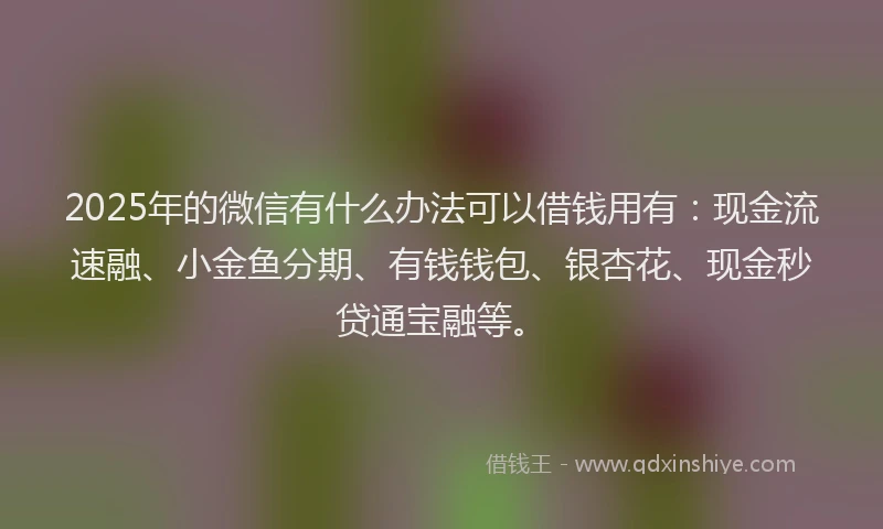 2025年的微信有什么办法可以借钱用有：现金流速融、小金鱼分期、有钱钱包、银杏花、现金秒贷通宝融等。