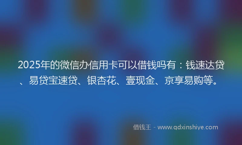 2025年的微信办信用卡可以借钱吗有：钱速达贷、易贷宝速贷、银杏花、壹现金、京享易购等。