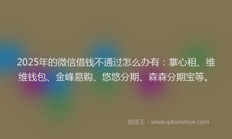 2025年的微信借钱不通过怎么办有：掌心租、维维钱包、金峰易购、悠悠分期、森森分期宝等。