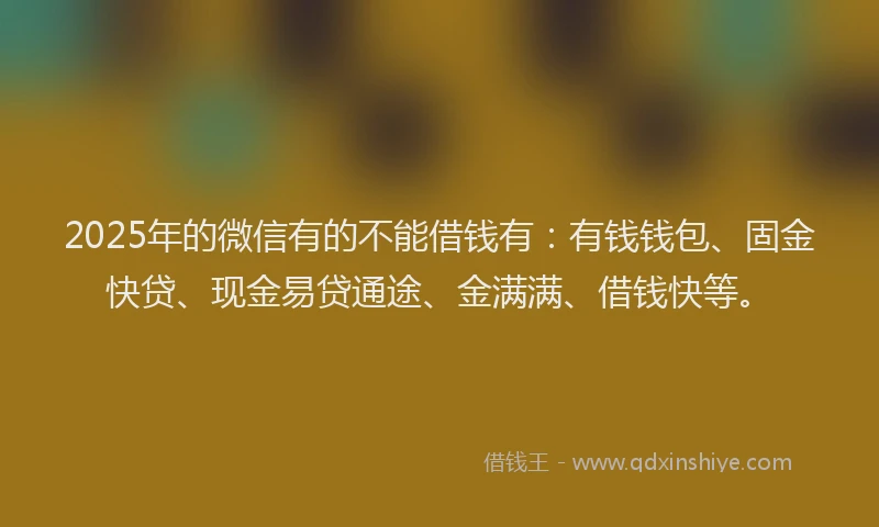2025年的微信有的不能借钱有：有钱钱包、固金快贷、现金易贷通途、金满满、借钱快等。