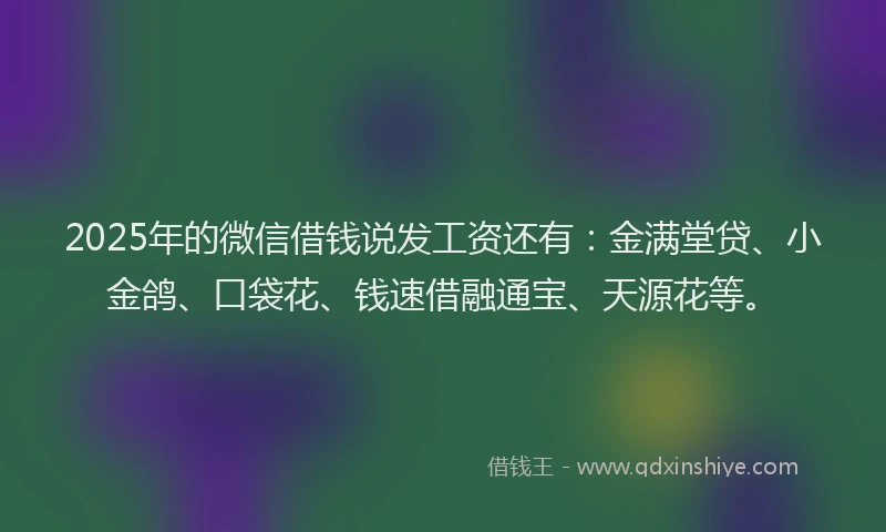 2025年的微信借钱说发工资还有：金满堂贷、小金鸽、口袋花、钱速借融通宝、天源花等。