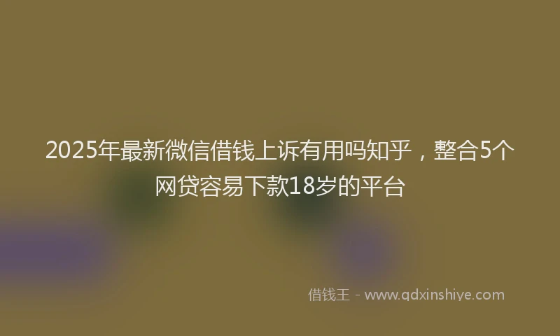 2025年最新微信借钱上诉有用吗知乎，整合5个网贷容易下款18岁的平台