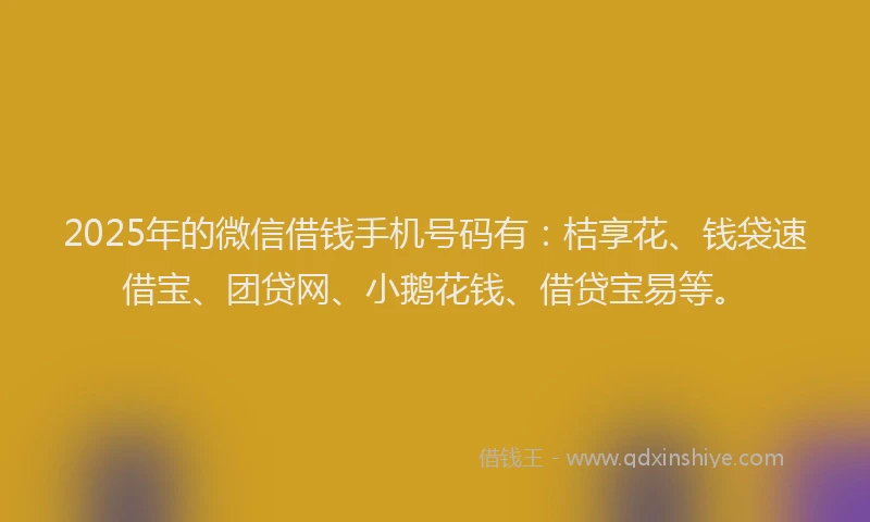 2025年的微信借钱手机号码有：桔享花、钱袋速借宝、团贷网、小鹅花钱、借贷宝易等。