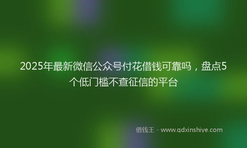 2025年最新微信公众号付花借钱可靠吗，盘点5个低门槛不查征信的平台