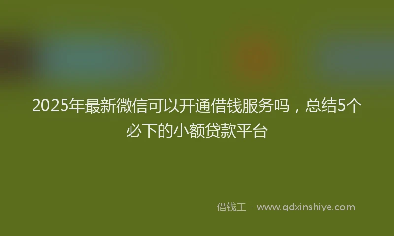 2025年最新微信可以开通借钱服务吗，总结5个必下的小额贷款平台
