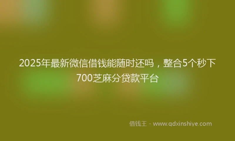 2025年最新微信借钱能随时还吗，整合5个秒下700芝麻分贷款平台