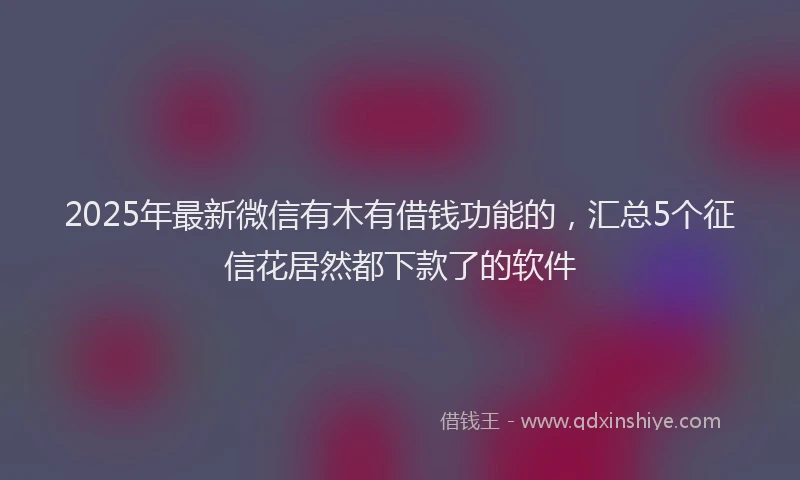 2025年最新微信有木有借钱功能的，汇总5个征信花居然都下款了的软件