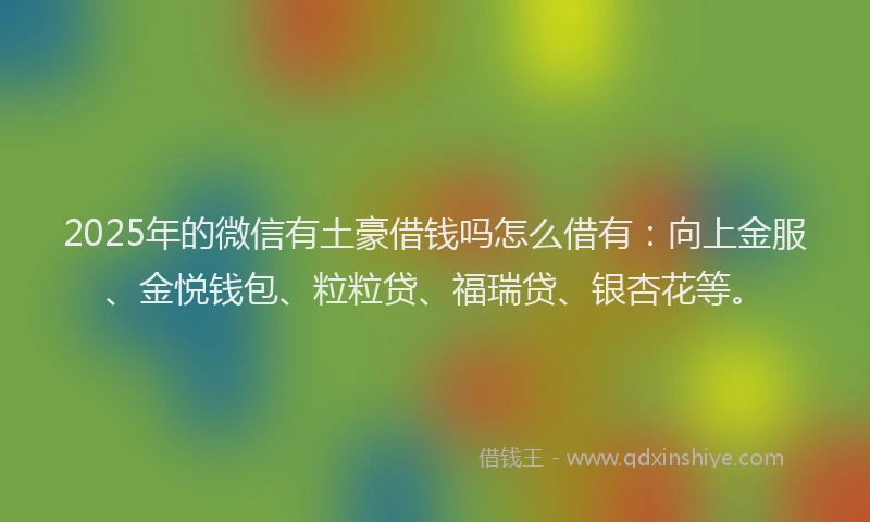 2025年的微信有土豪借钱吗怎么借有：向上金服、金悦钱包、粒粒贷、福瑞贷、银杏花等。