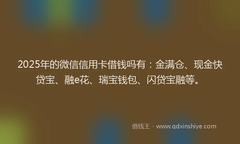 2025年的微信信用卡借钱吗有：金满仓、现金快贷宝、融e花、瑞宝钱包、闪贷宝融等。