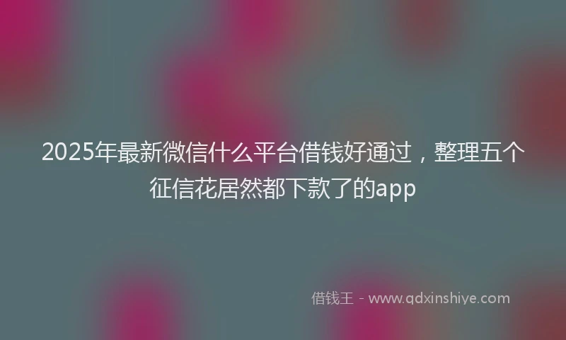 2025年最新微信什么平台借钱好通过，整理五个征信花居然都下款了的app