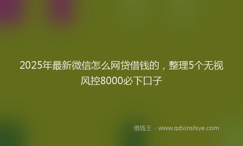 2025年最新微信怎么网贷借钱的，整理5个无视风控8000必下口子