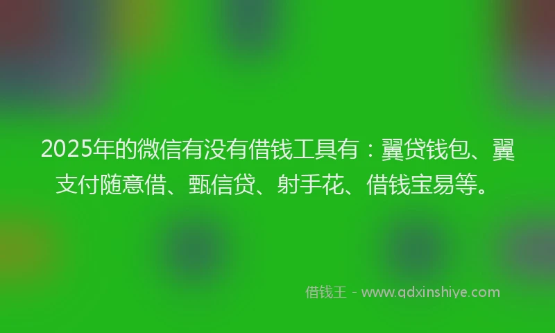 2025年的微信有没有借钱工具有：翼贷钱包、翼支付随意借、甄信贷、射手花、借钱宝易等。