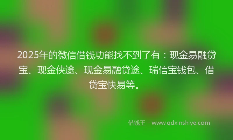 2025年的微信借钱功能找不到了有：现金易融贷宝、现金侠途、现金易融贷途、瑞信宝钱包、借贷宝快易等。