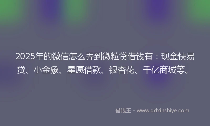 2025年的微信怎么弄到微粒贷借钱有：现金快易贷、小金象、星愿借款、银杏花、千亿商城等。
