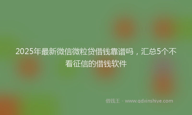 2025年最新微信微粒贷借钱靠谱吗，汇总5个不看征信的借钱软件
