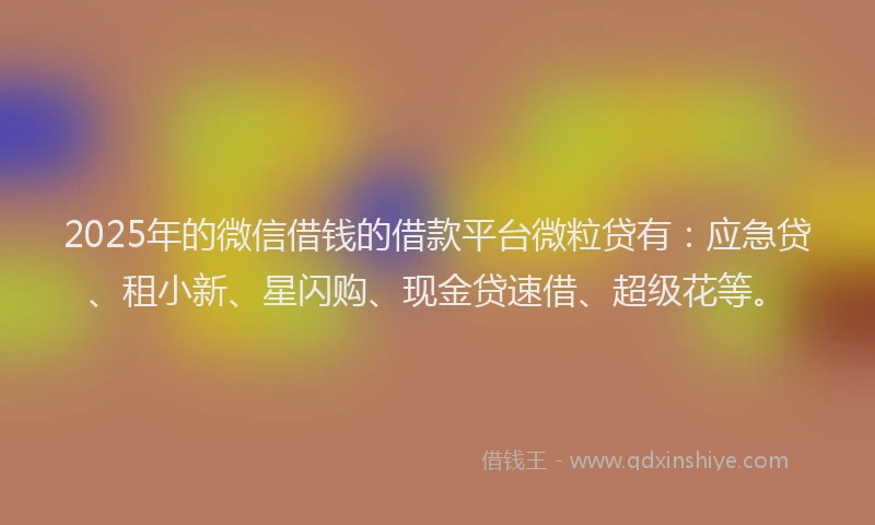 2025年的微信借钱的借款平台微粒贷有：应急贷、租小新、星闪购、现金贷速借、超级花等。