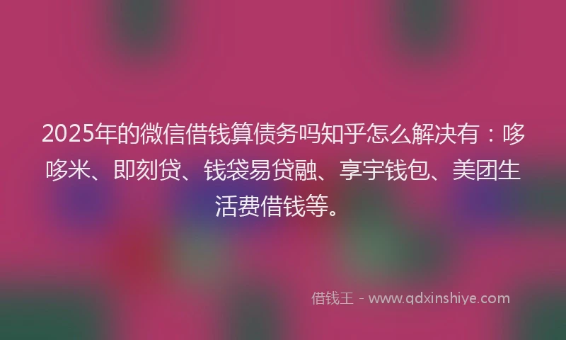2025年的微信借钱算债务吗知乎怎么解决有：哆哆米、即刻贷、钱袋易贷融、享宇钱包、美团生活费借钱等。