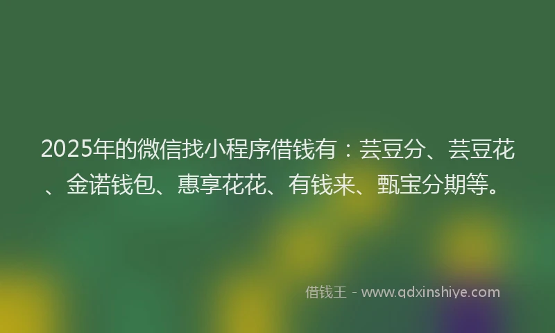 2025年的微信找小程序借钱有：芸豆分、芸豆花、金诺钱包、惠享花花、有钱来、甄宝分期等。