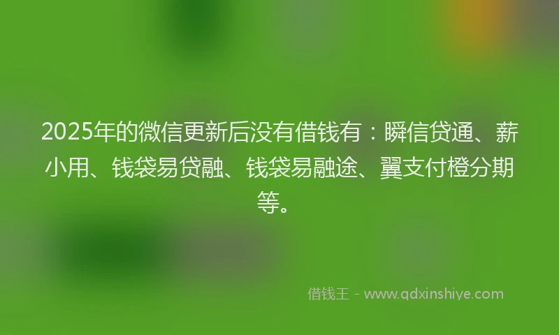 2025年的微信更新后没有借钱有：瞬信贷通、薪小用、钱袋易贷融、钱袋易融途、翼支付橙分期等。