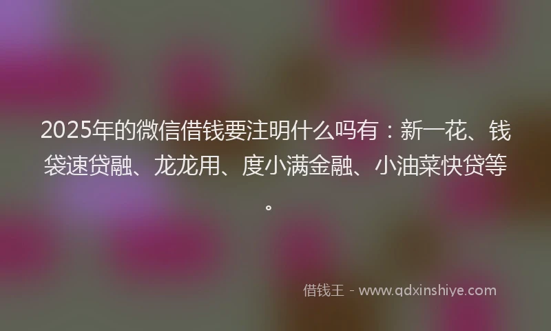 2025年的微信借钱要注明什么吗有：新一花、钱袋速贷融、龙龙用、度小满金融、小油菜快贷等。