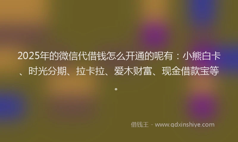 2025年的微信代借钱怎么开通的呢有：小熊白卡、时光分期、拉卡拉、爱木财富、现金借款宝等。