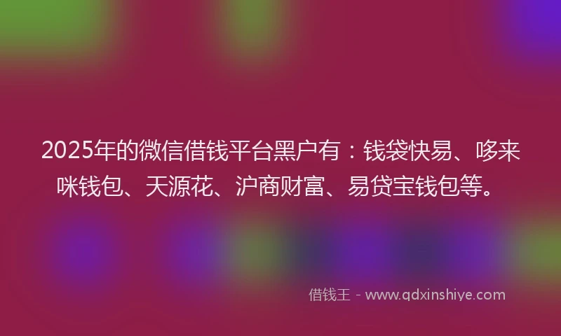 2025年的微信借钱平台黑户有：钱袋快易、哆来咪钱包、天源花、沪商财富、易贷宝钱包等。