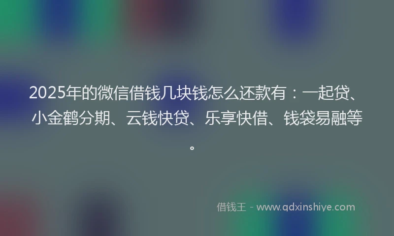 2025年的微信借钱几块钱怎么还款有：一起贷、小金鹤分期、云钱快贷、乐享快借、钱袋易融等。