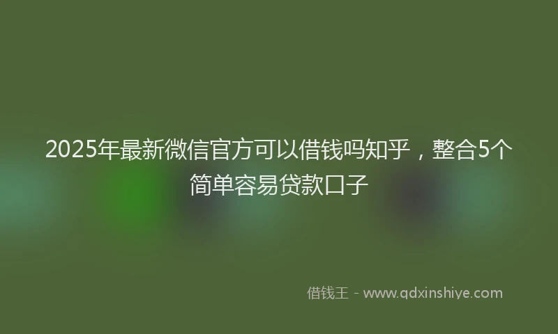 2025年最新微信官方可以借钱吗知乎，整合5个简单容易贷款口子