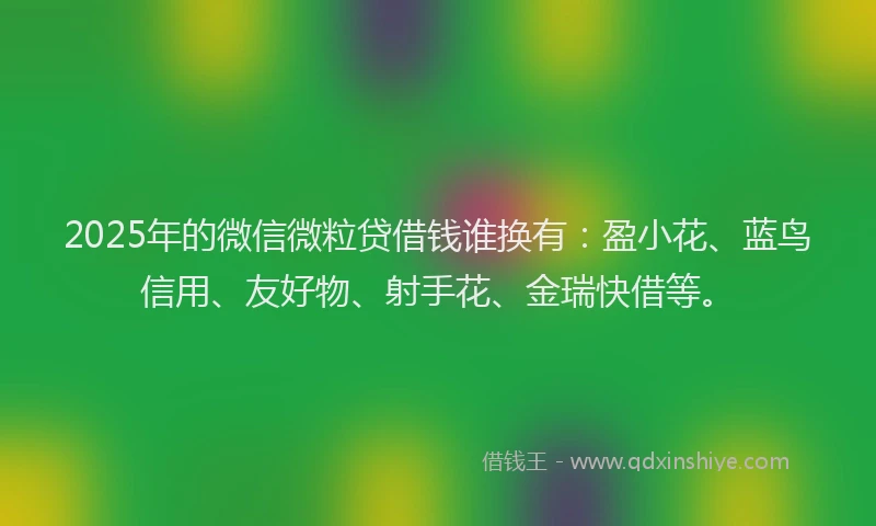 2025年的微信微粒贷借钱谁换有：盈小花、蓝鸟信用、友好物、射手花、金瑞快借等。