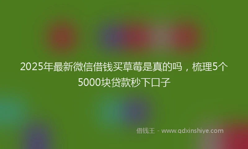 2025年最新微信借钱买草莓是真的吗，梳理5个5000块贷款秒下口子