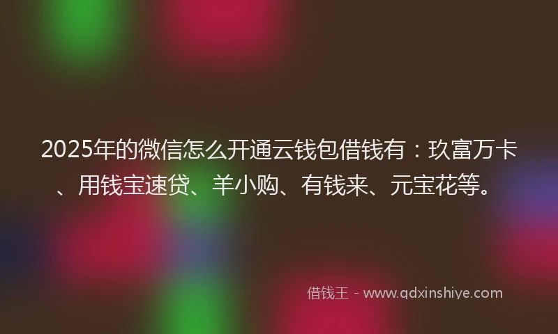 2025年的微信怎么开通云钱包借钱有：玖富万卡、用钱宝速贷、羊小购、有钱来、元宝花等。