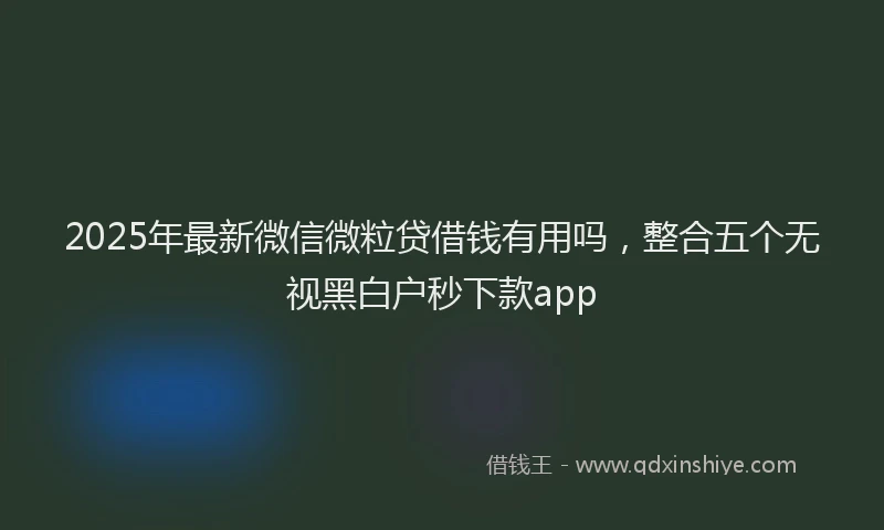 2025年最新微信微粒贷借钱有用吗，整合五个无视黑白户秒下款app