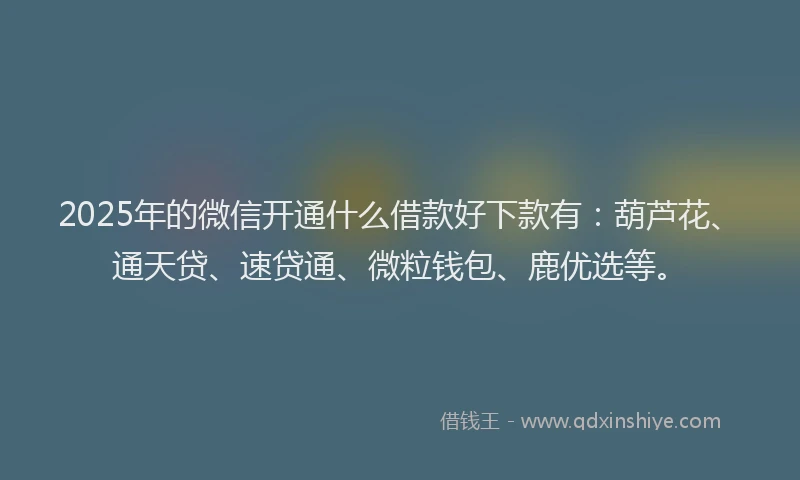 2025年的微信开通什么借款好下款有：葫芦花、通天贷、速贷通、微粒钱包、鹿优选等。