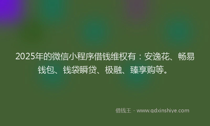 2025年的微信小程序借钱维权有：安逸花、畅易钱包、钱袋瞬贷、极融、臻享购等。