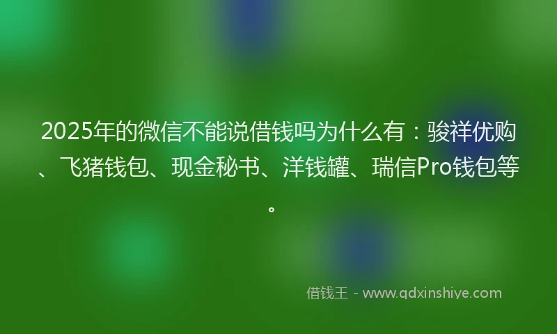 2025年的微信不能说借钱吗为什么有：骏祥优购、飞猪钱包、现金秘书、洋钱罐、瑞信Pro钱包等。