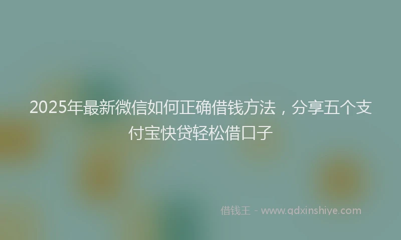 2025年最新微信如何正确借钱方法，分享五个支付宝快贷轻松借口子