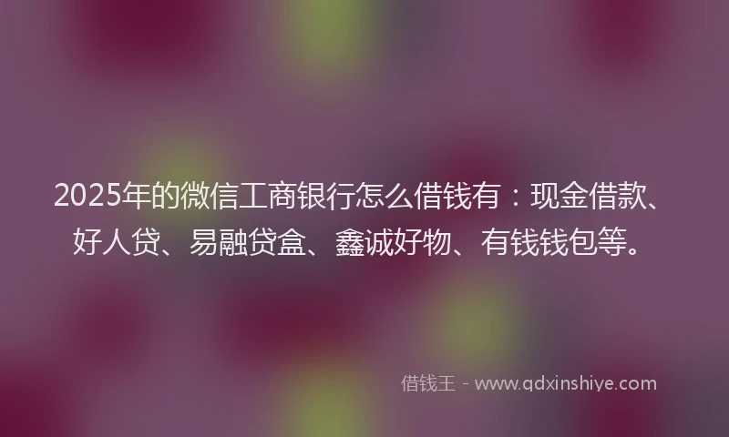 2025年的微信工商银行怎么借钱有：现金借款、好人贷、易融贷盒、鑫诚好物、有钱钱包等。